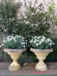 Paire de vases de jardin ciment 1930
