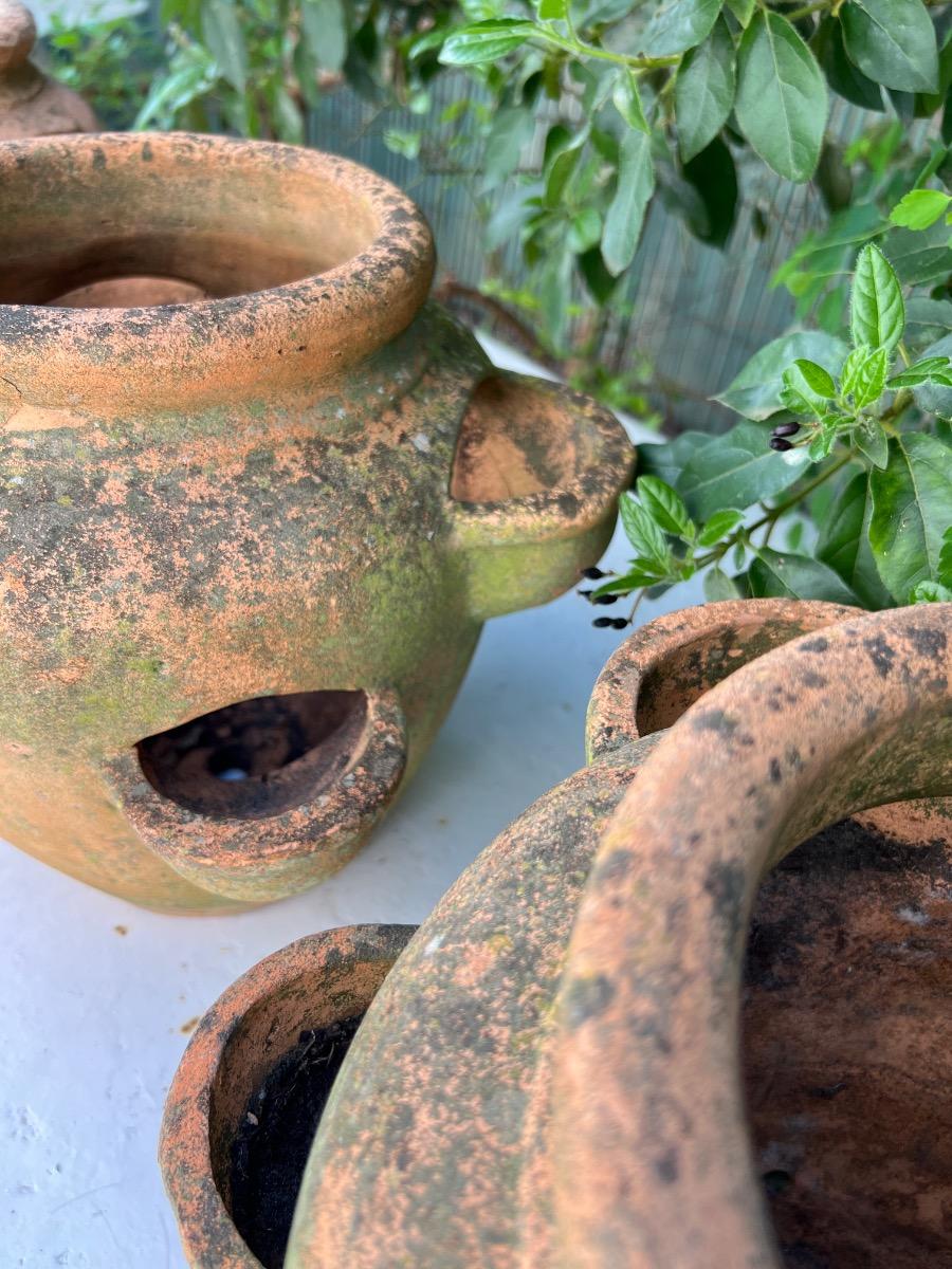 Suite de 4 pots à fraisiers terre cuite