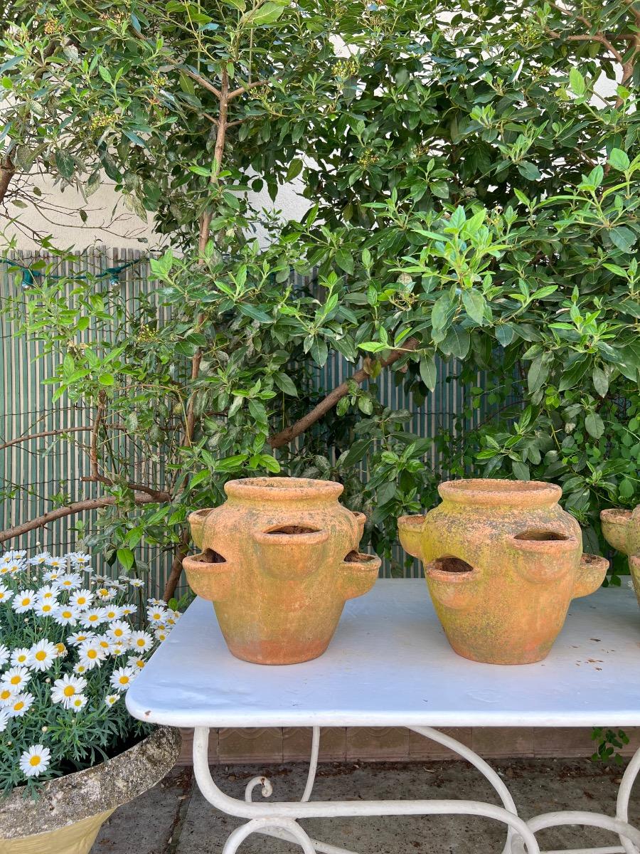 Suite de 4 pots à fraisiers terre cuite