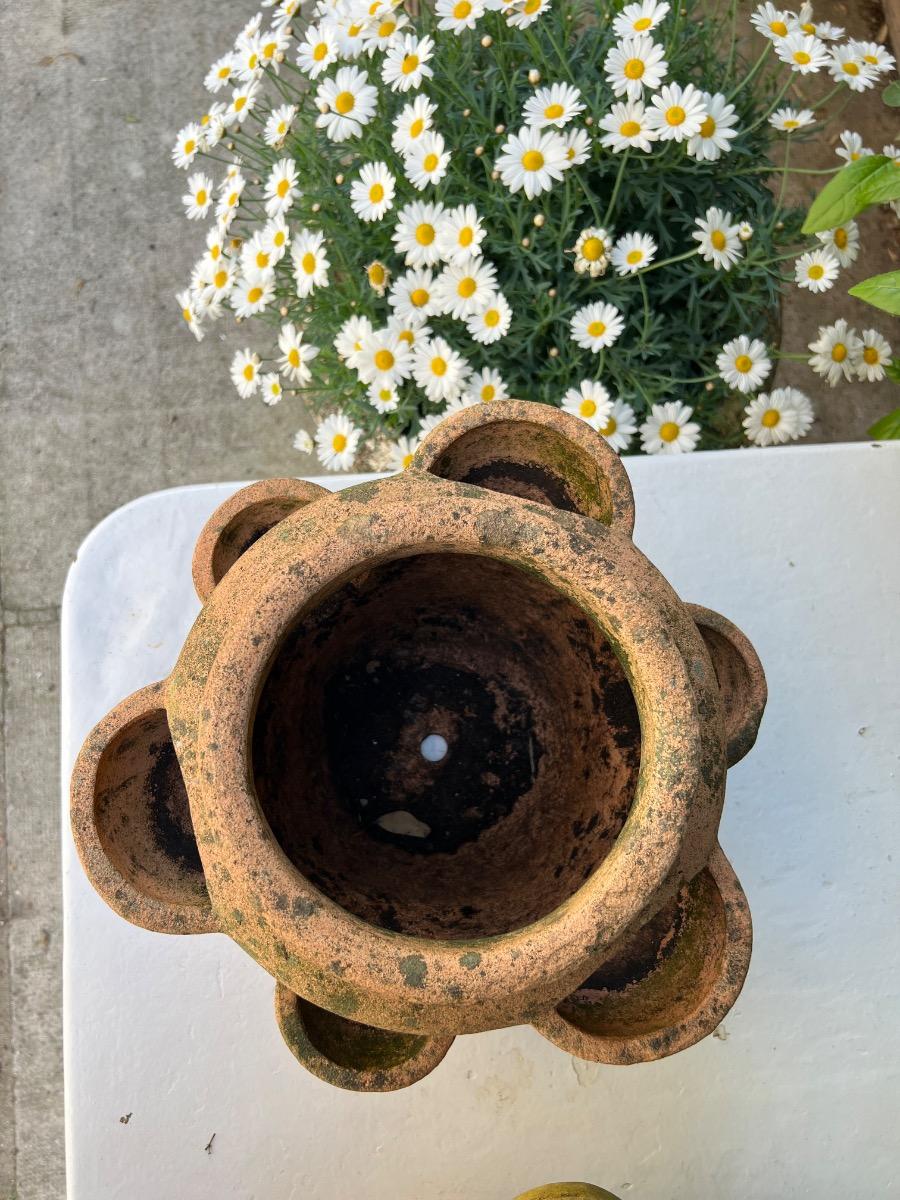Suite de 4 pots à fraisiers terre cuite
