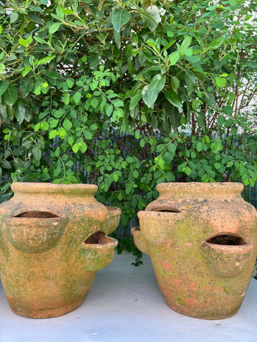 Suite de 4 pots à fraisiers terre cuite