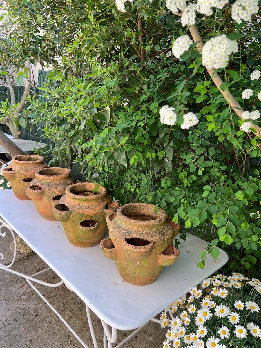 Suite de 4 pots à fraisiers terre cuite