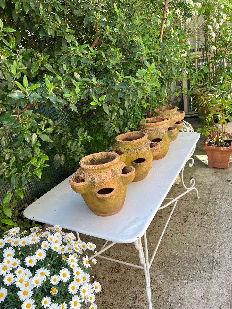 Suite de 4 pots à fraisiers terre cuite