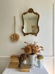 Miroir Rocaille de style LXV