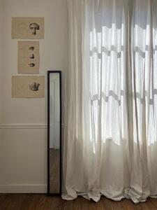 Miroir XIXème mercure
