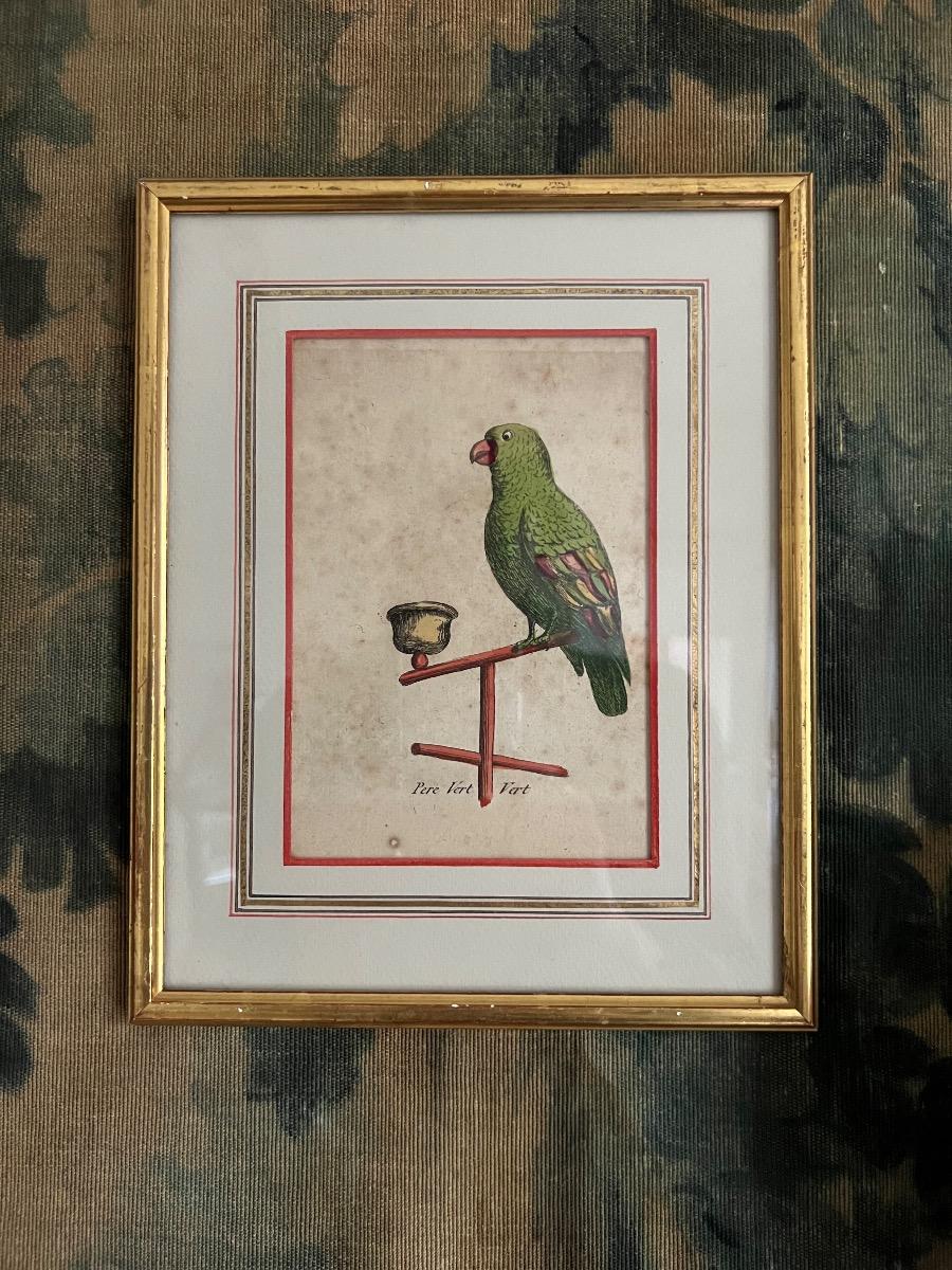 Gravure encadrée 1880