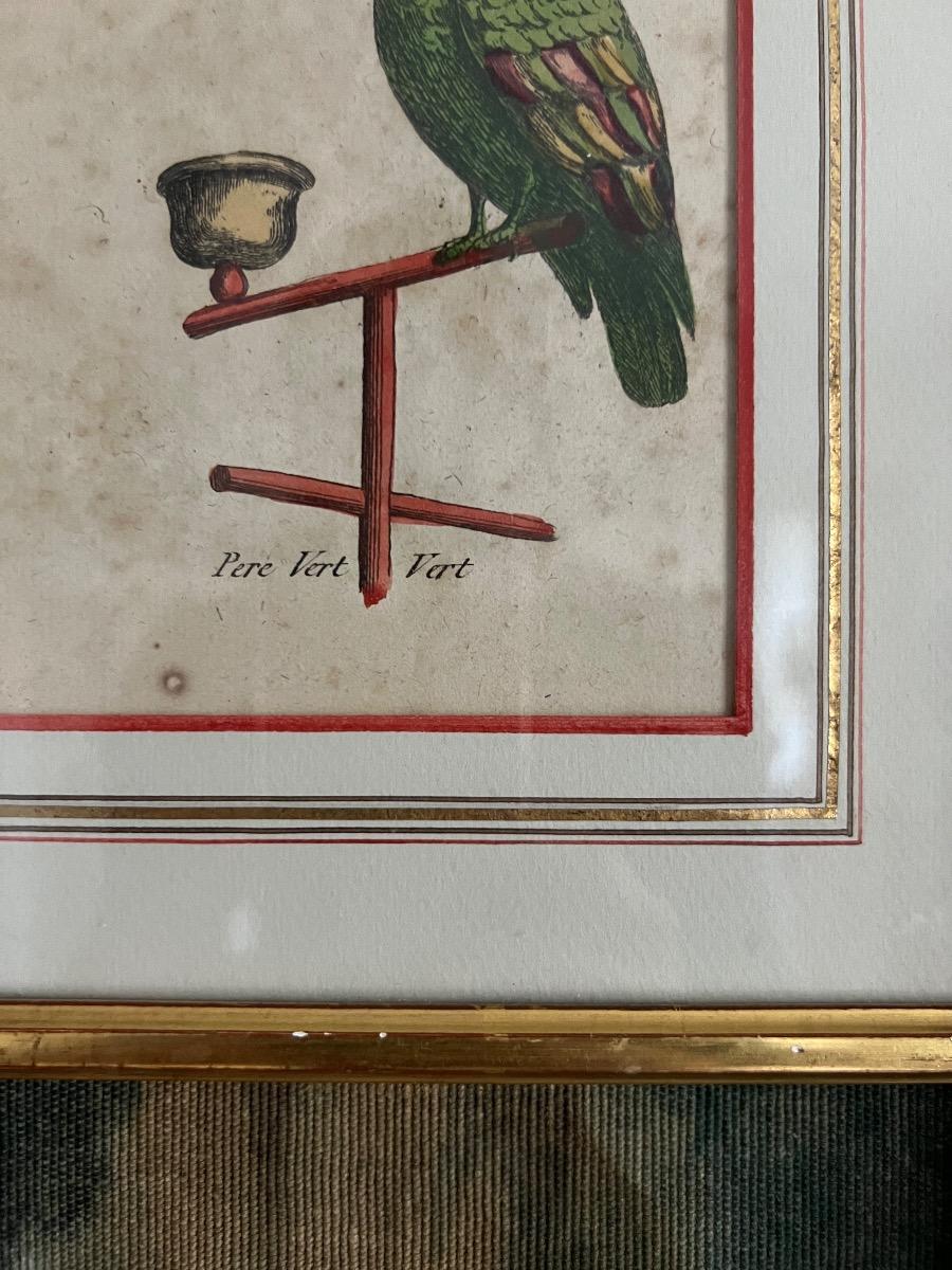 Gravure encadrée 1880