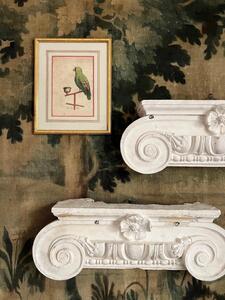 Gravure encadrée 1880