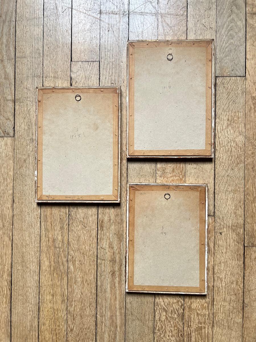 Suite de 3 gravures botaniques XIXème