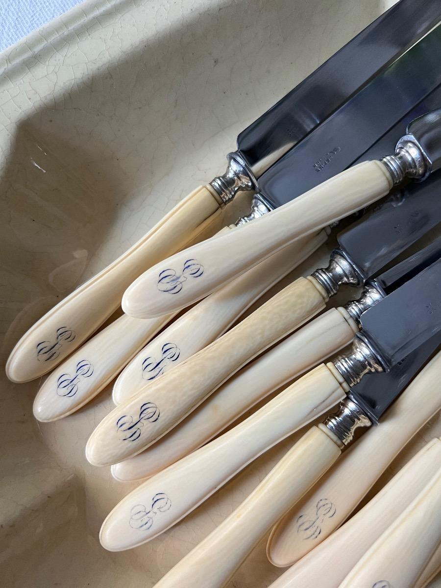 Service 12 couteaux dessert / fromage