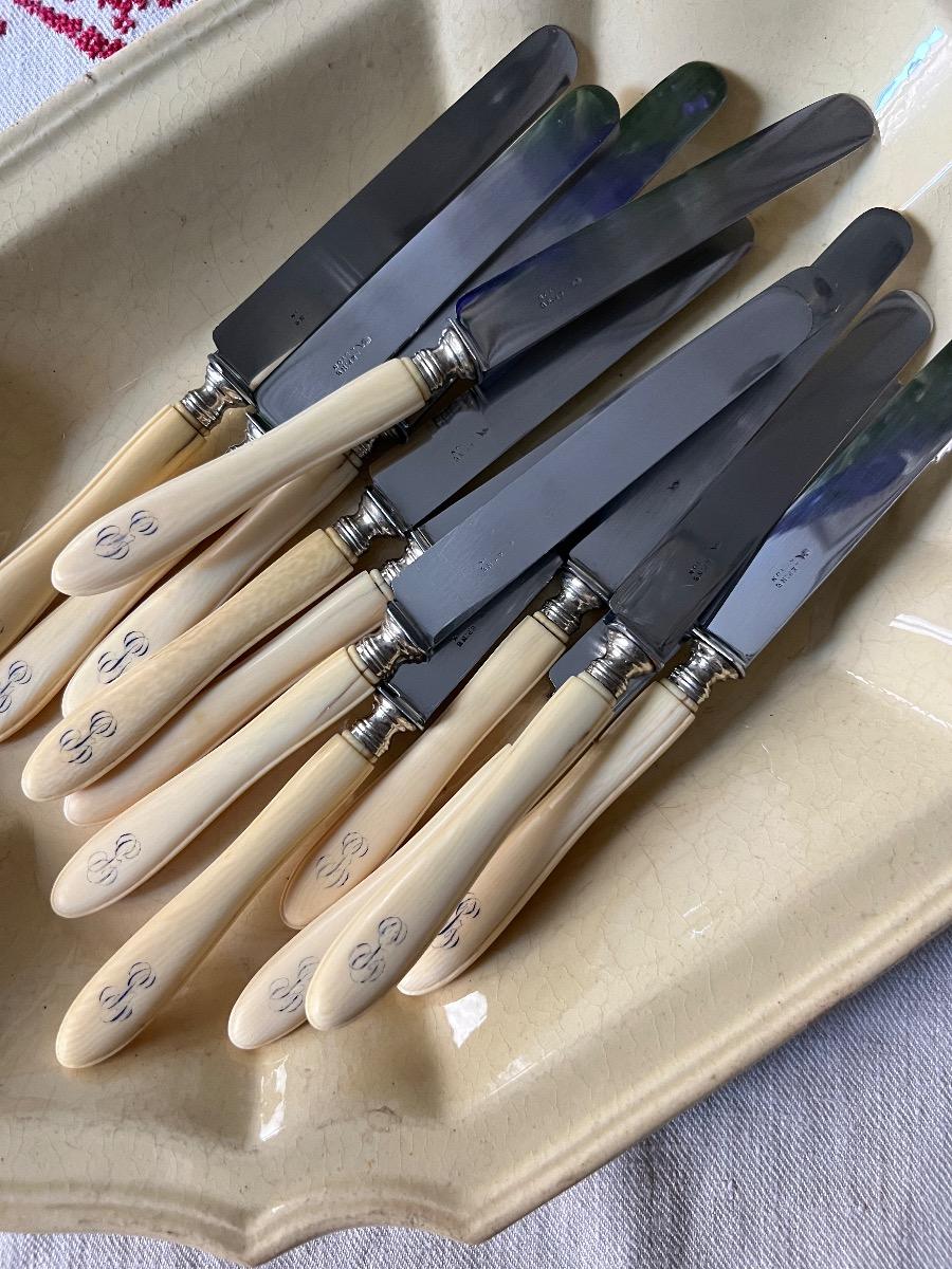 Service 12 couteaux dessert / fromage