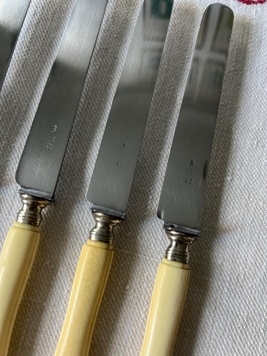 Service 12 couteaux dessert / fromage