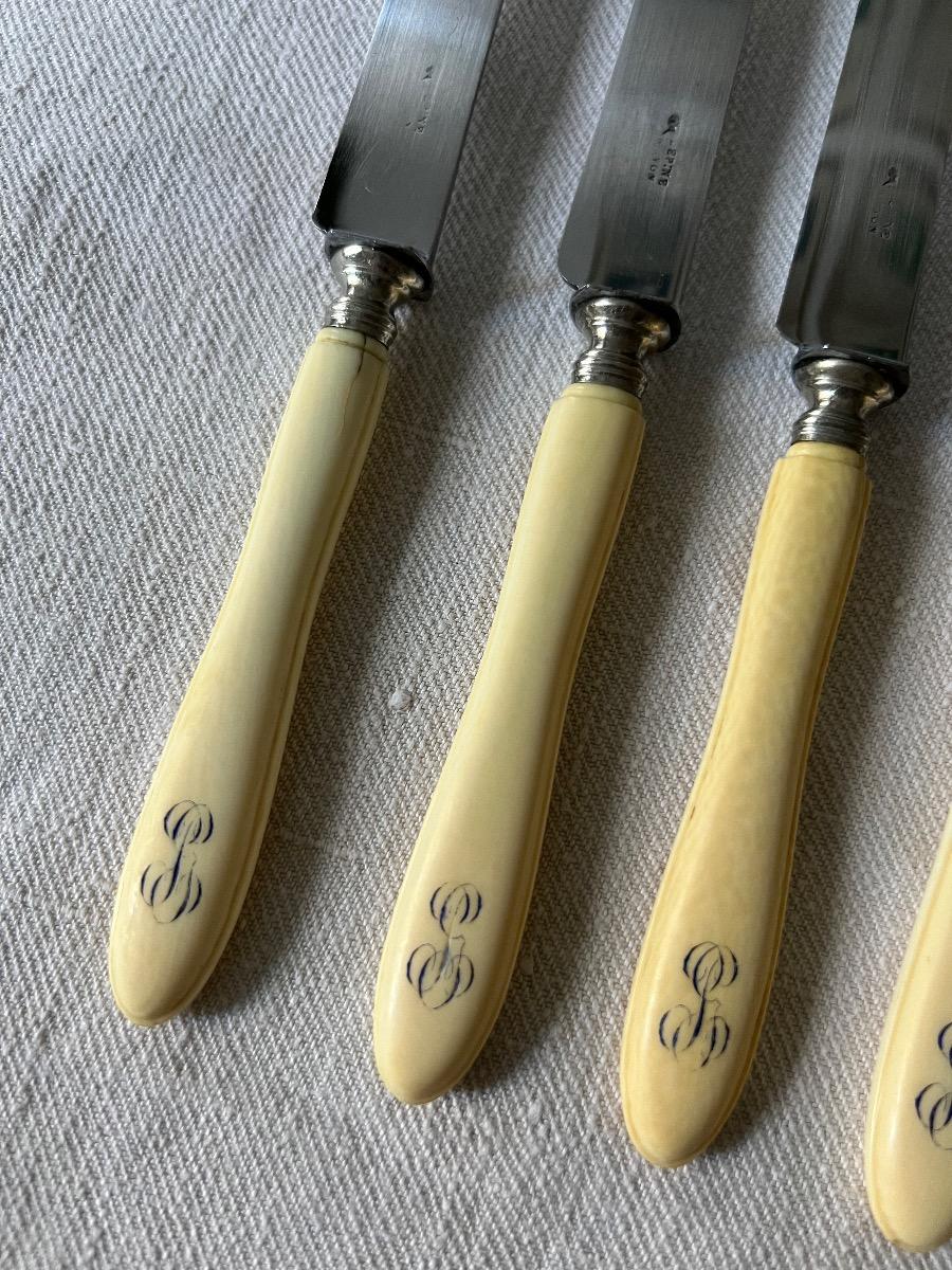 Service 12 couteaux dessert / fromage