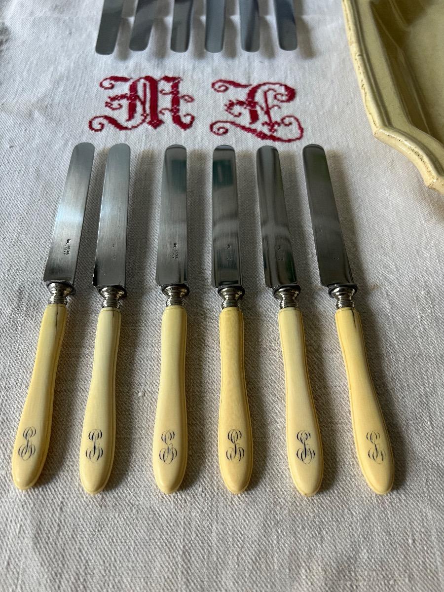 Service 12 couteaux dessert / fromage