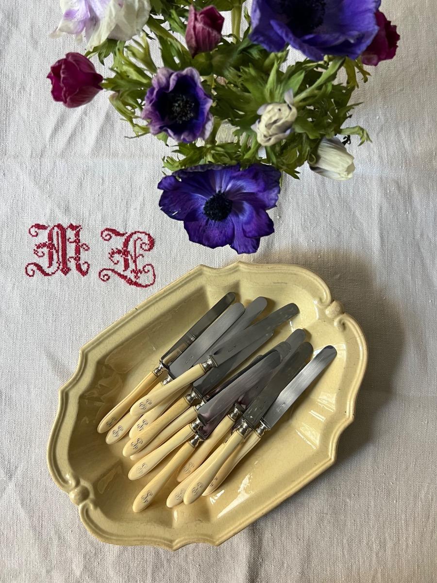 Service 12 couteaux dessert / fromage