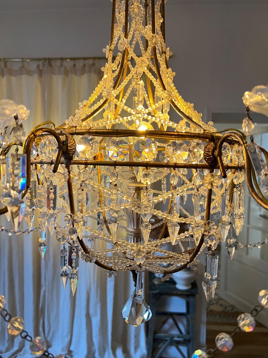 Lustre métal doré et verre 7 feux