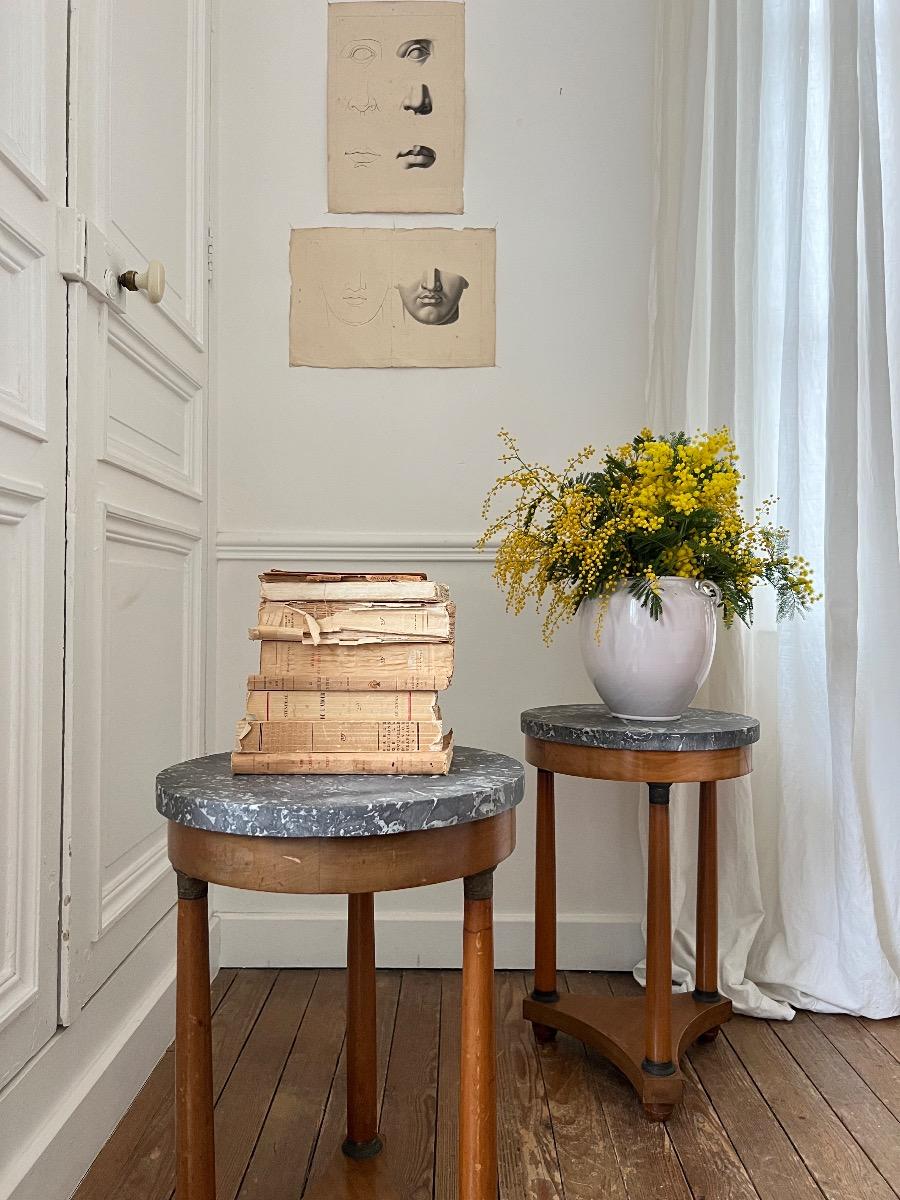 Paire de bouts de canapé de style Empire