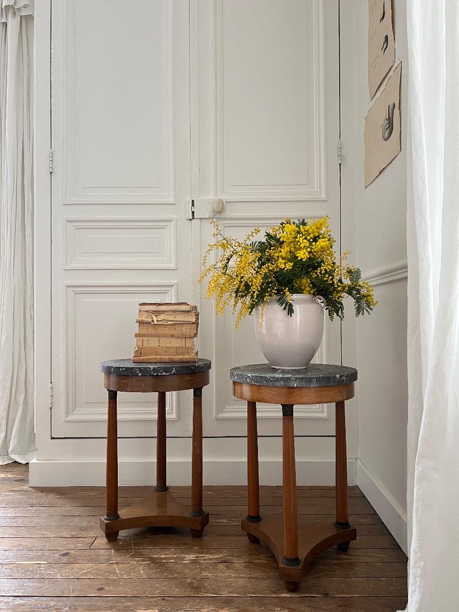 Paire de bouts de canapé de style Empire