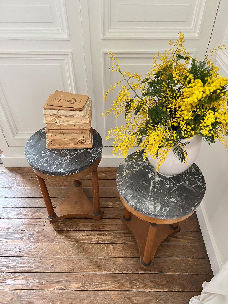 Paire de bouts de canapé de style Empire