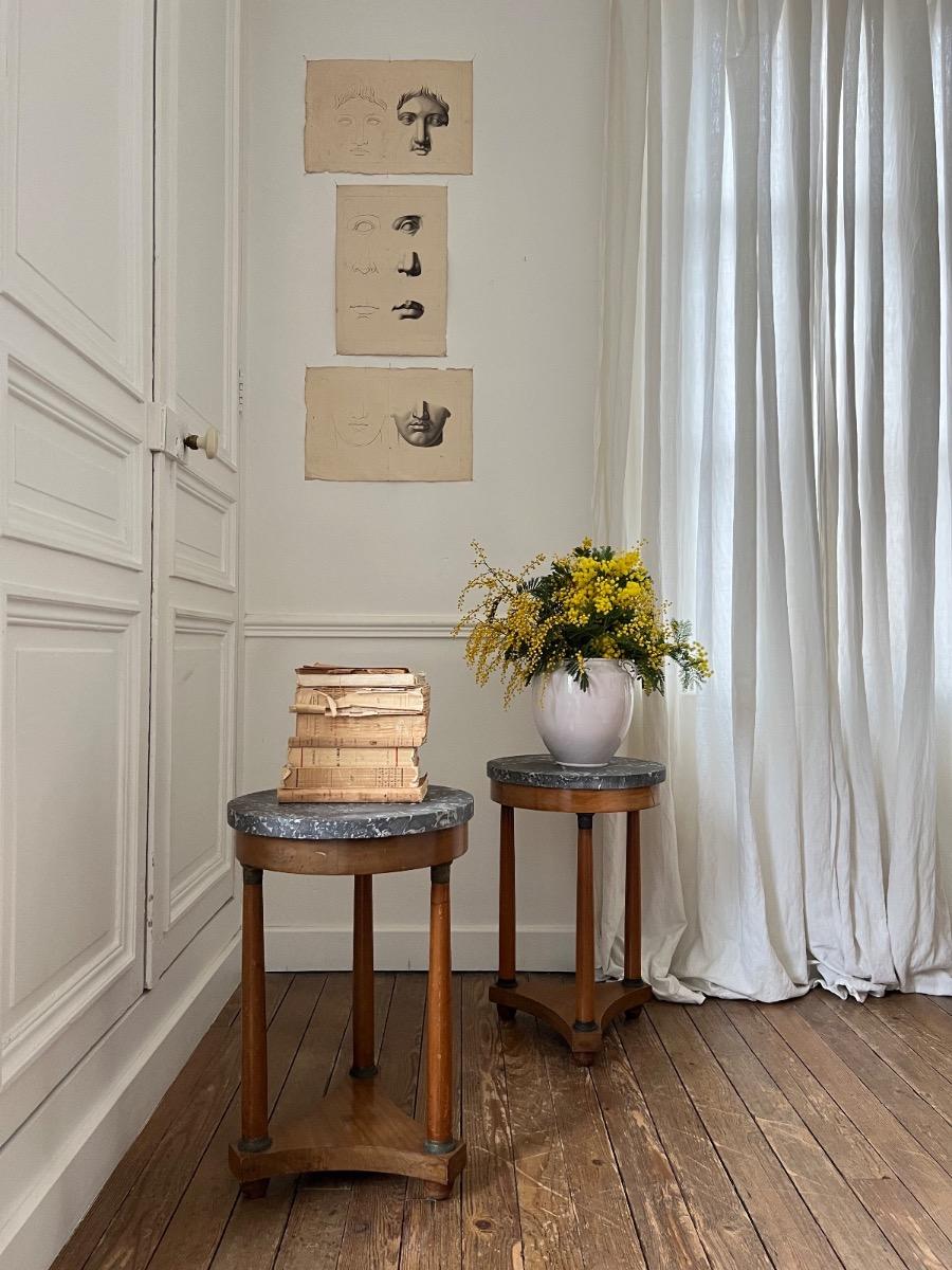 Paire de bouts de canapé de style Empire