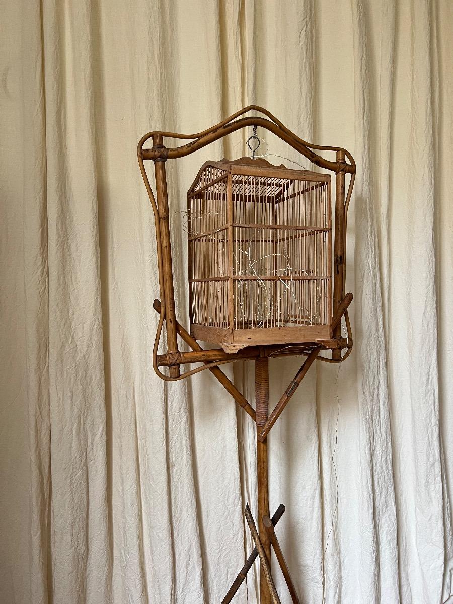 Cage à oiseaux suspendue bambou 1950