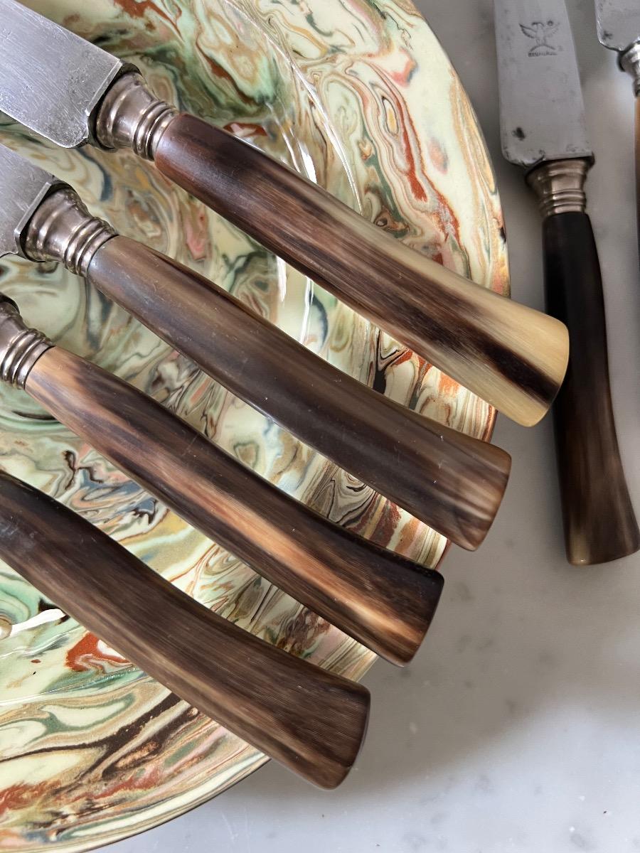 Service 12 couteaux corne 1880