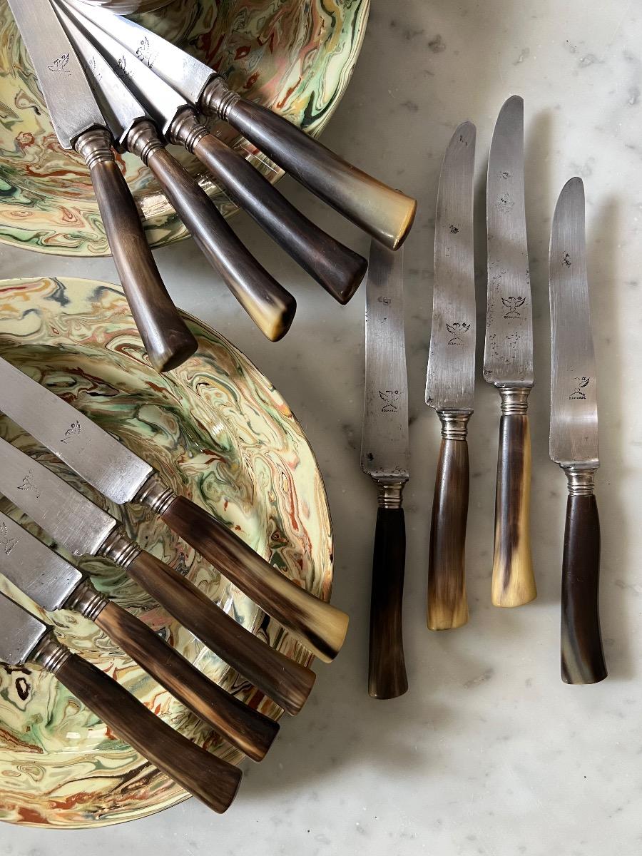 Service 12 couteaux corne 1880
