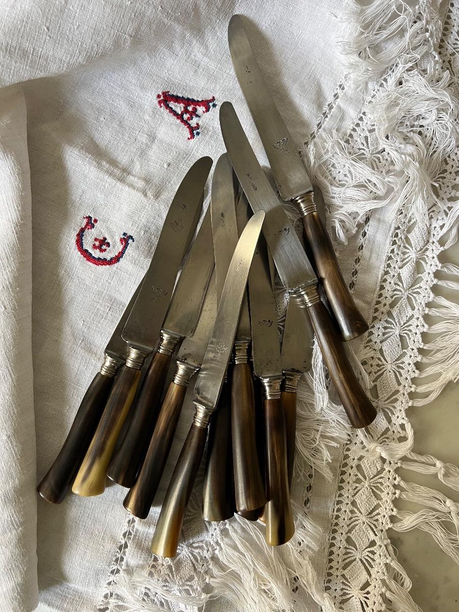 Service 12 couteaux corne 1880
