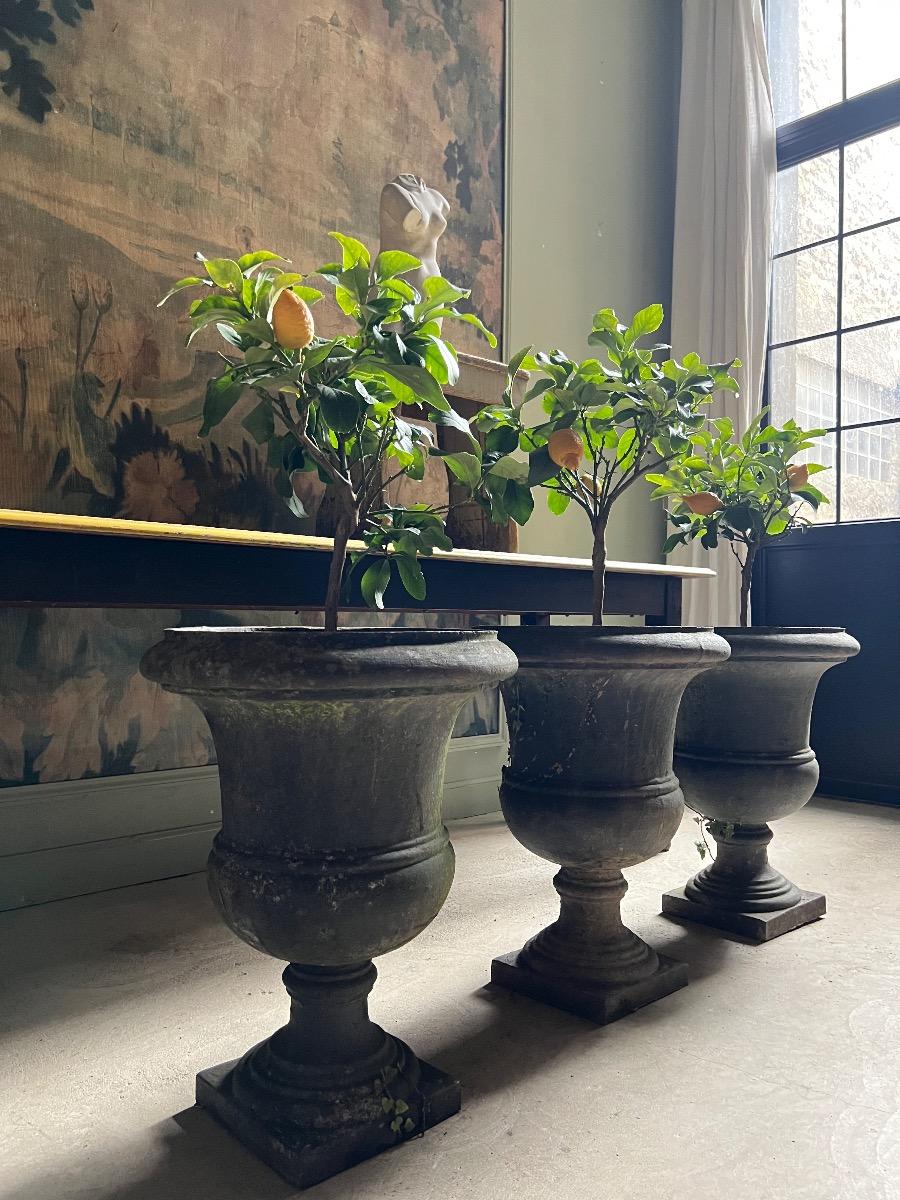 Suite 3 vases de jardin fonte ép. Directoire