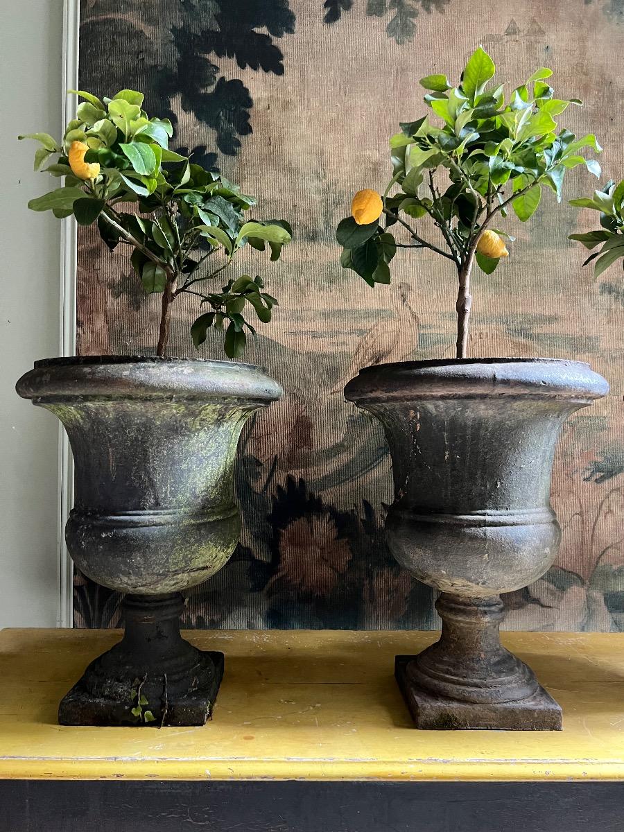 Suite 3 vases de jardin fonte ép. Directoire