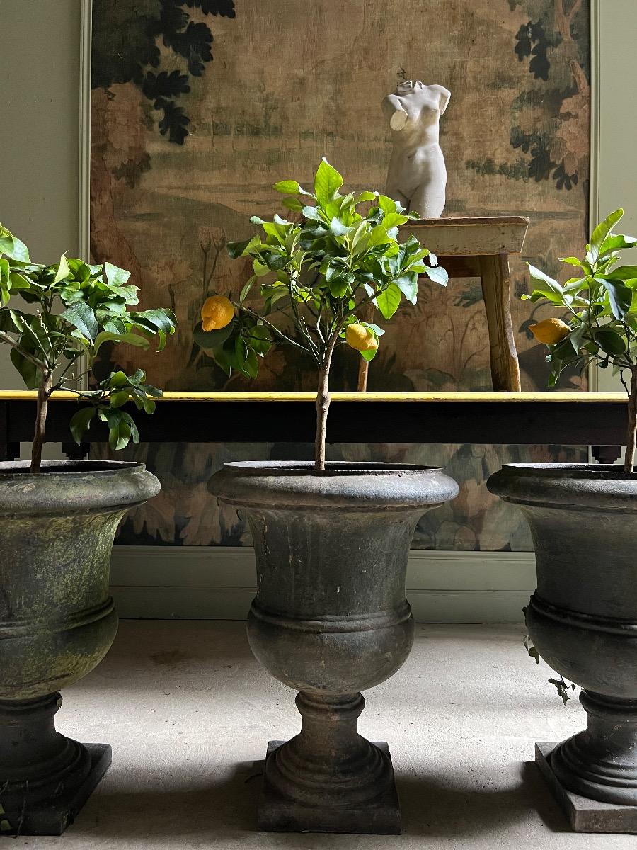 Suite 3 vases de jardin fonte ép. Directoire