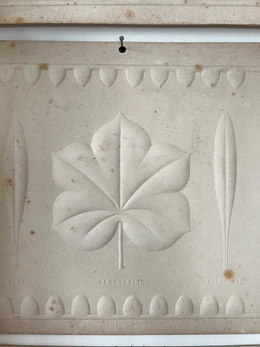 Suite de 4 ornementations à l’Antique