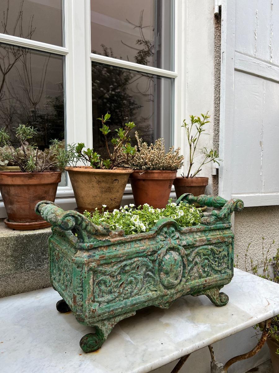 Jardinière XIXème fonte