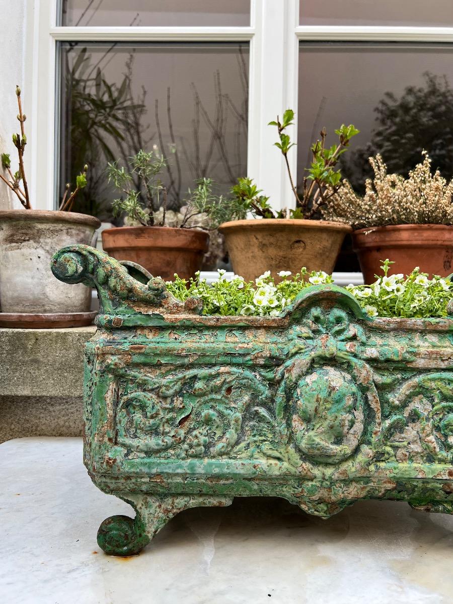 Jardinière XIXème fonte