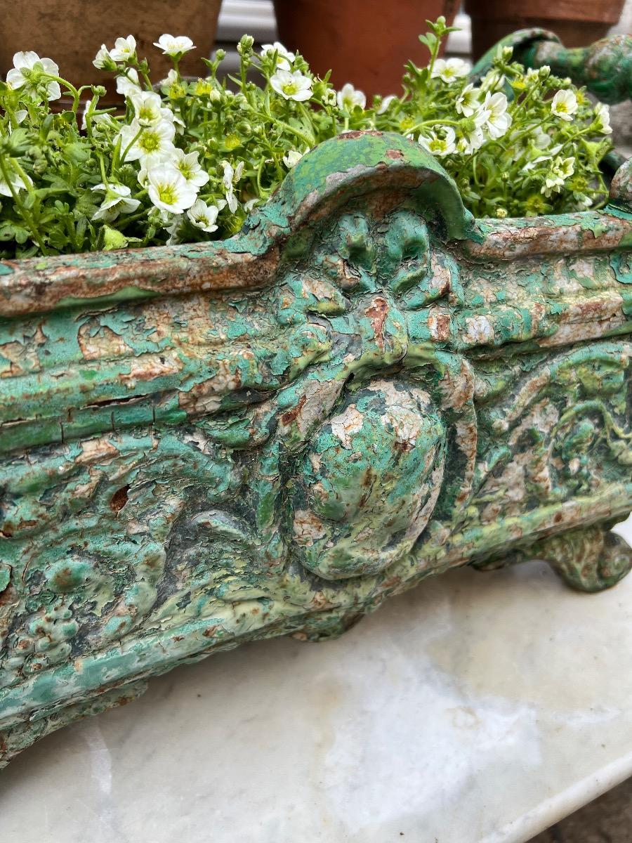 Jardinière XIXème fonte