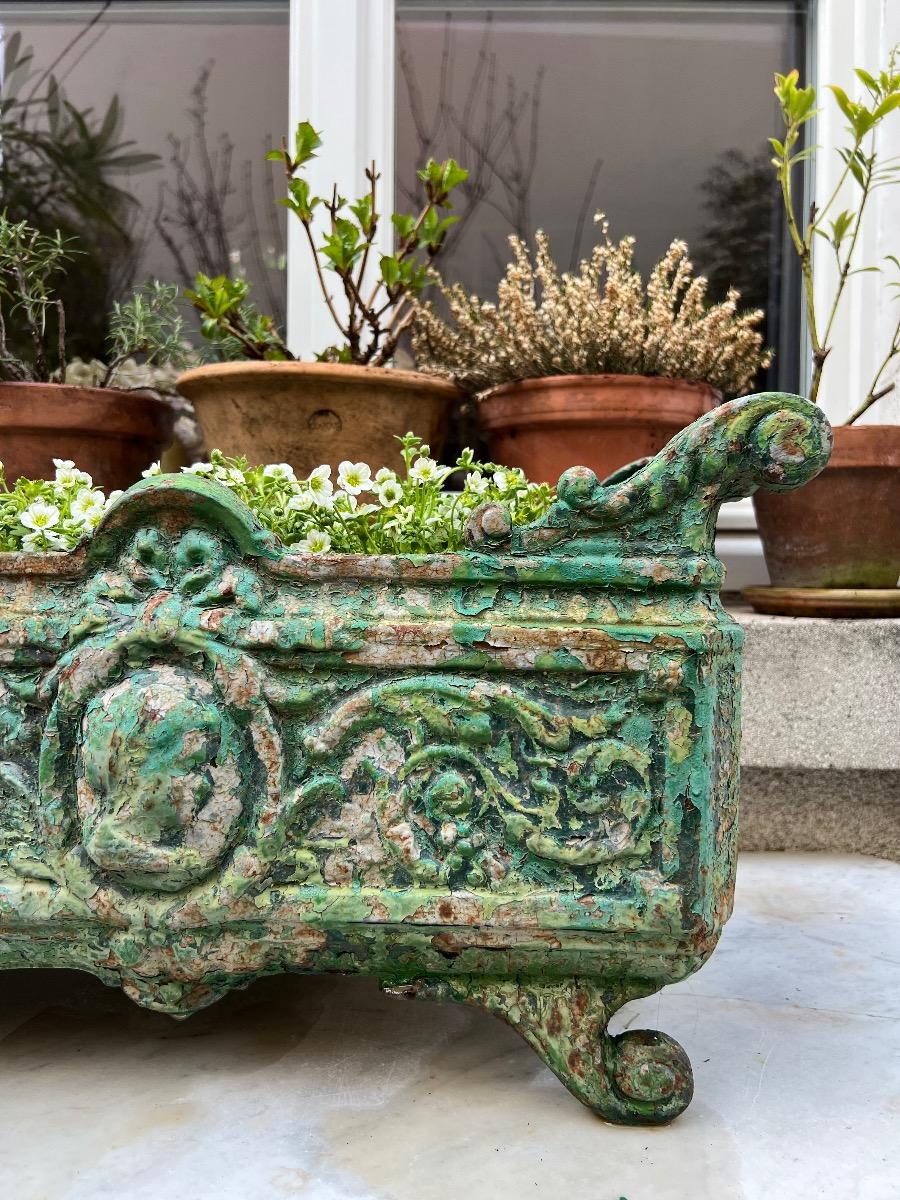 Jardinière XIXème fonte
