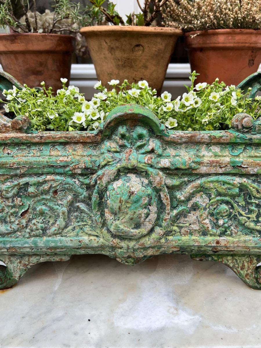 Jardinière XIXème fonte