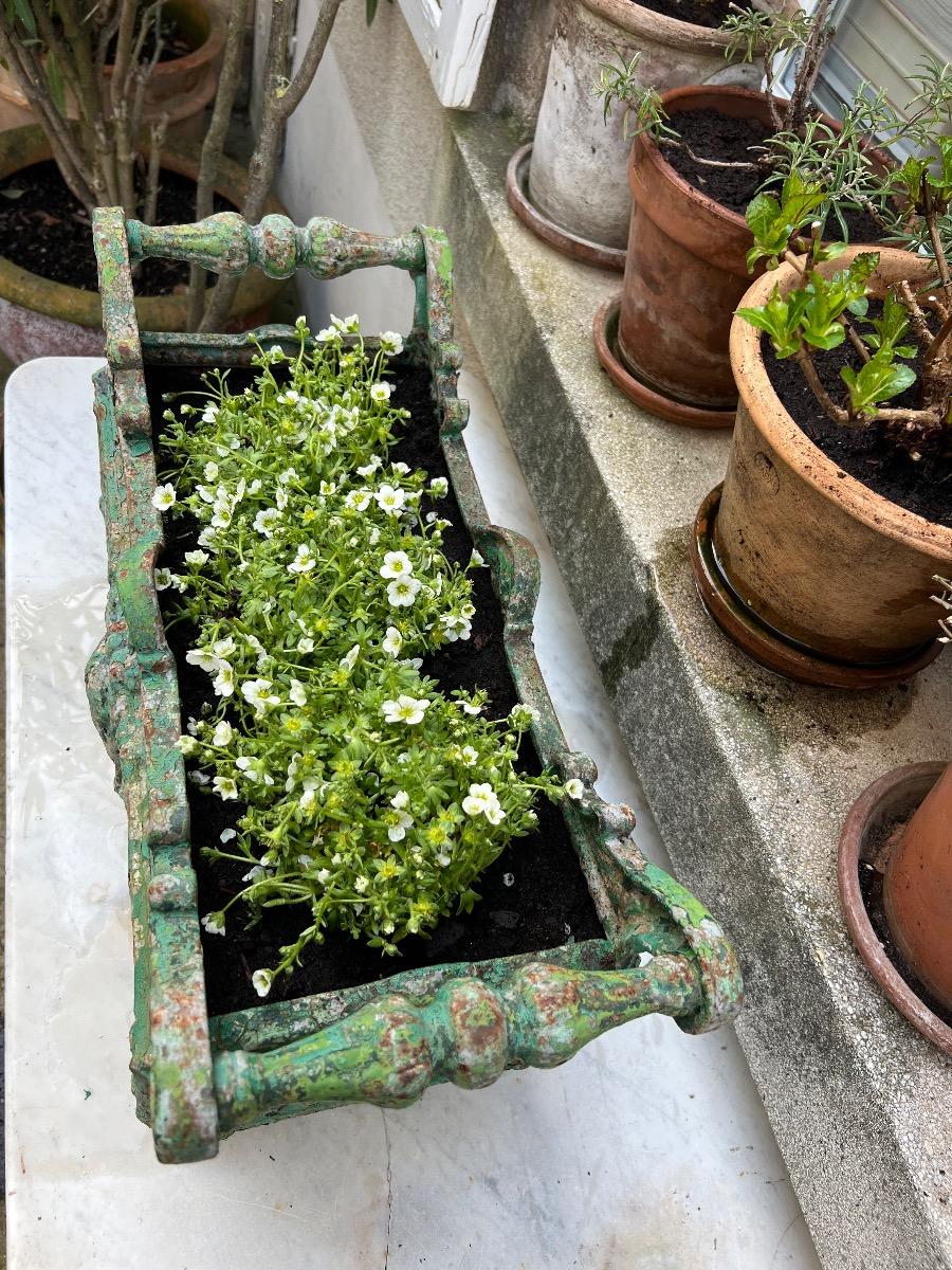 Jardinière XIXème fonte