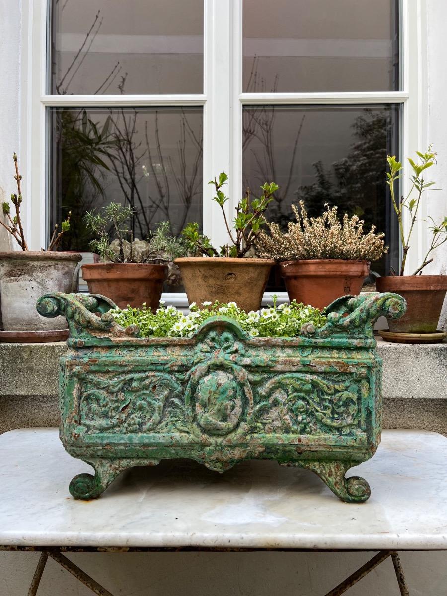 Jardinière XIXème fonte