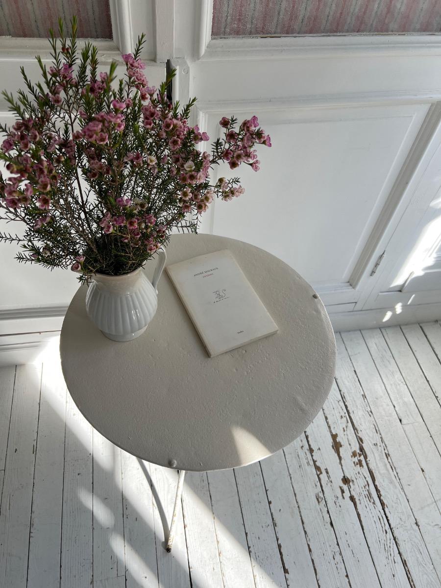 Guéridon de jardin XIXème