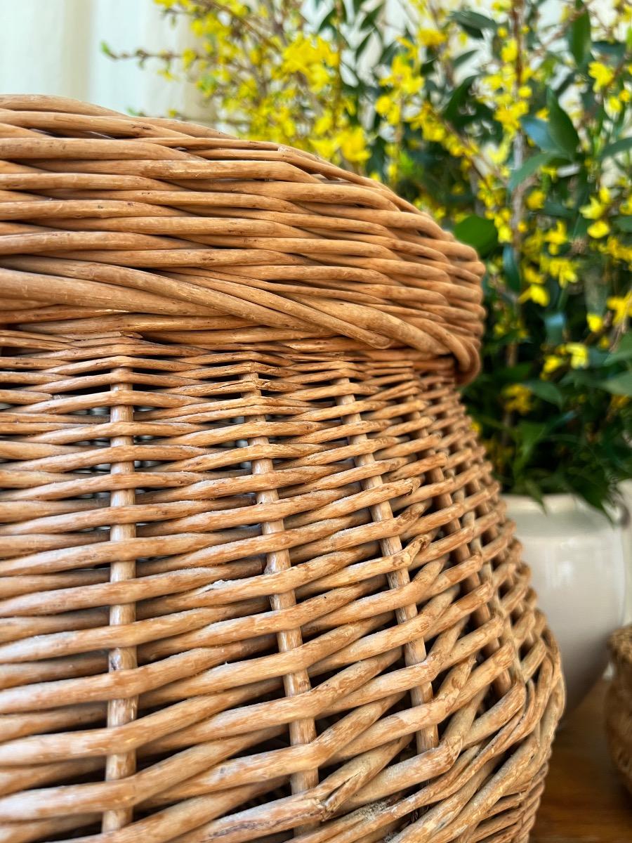 Large corbeille couverte osier 1960