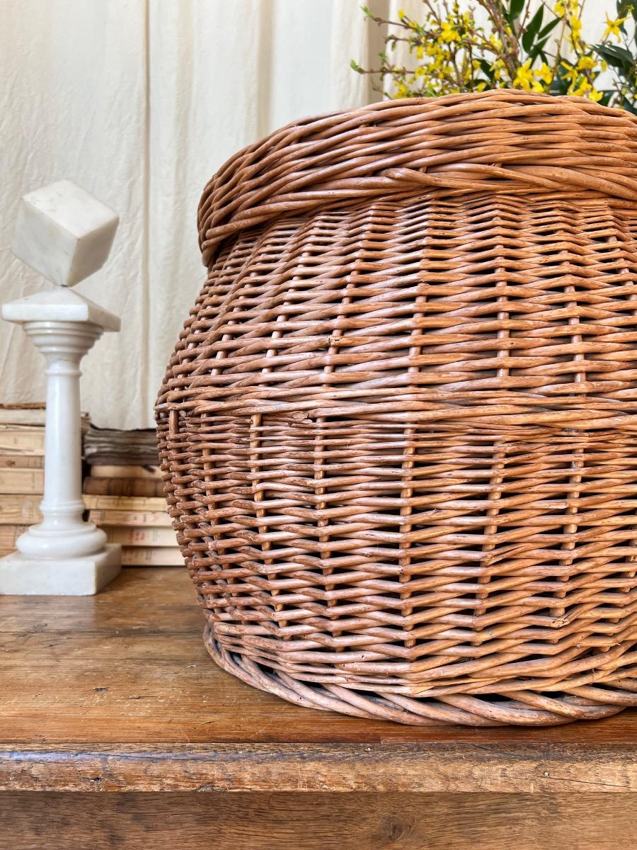 Large corbeille couverte osier 1960