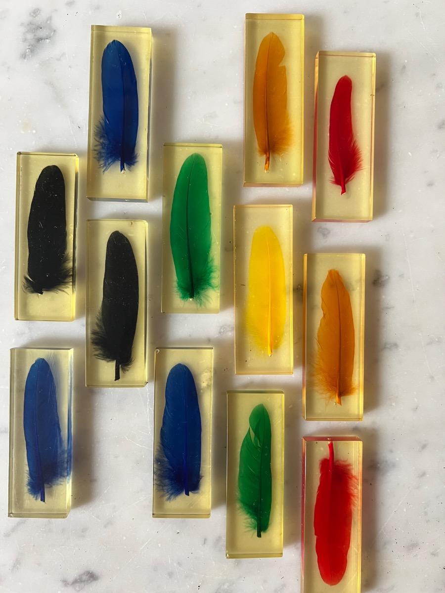 Service 12 porte-couteaux inclusion plumes