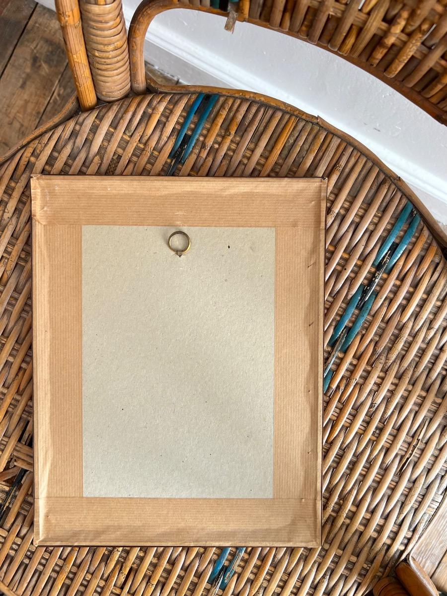 12 planches ornithologiques encadrées 