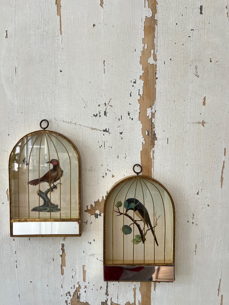 2 cages oiseaux trompe-l’œil 1960