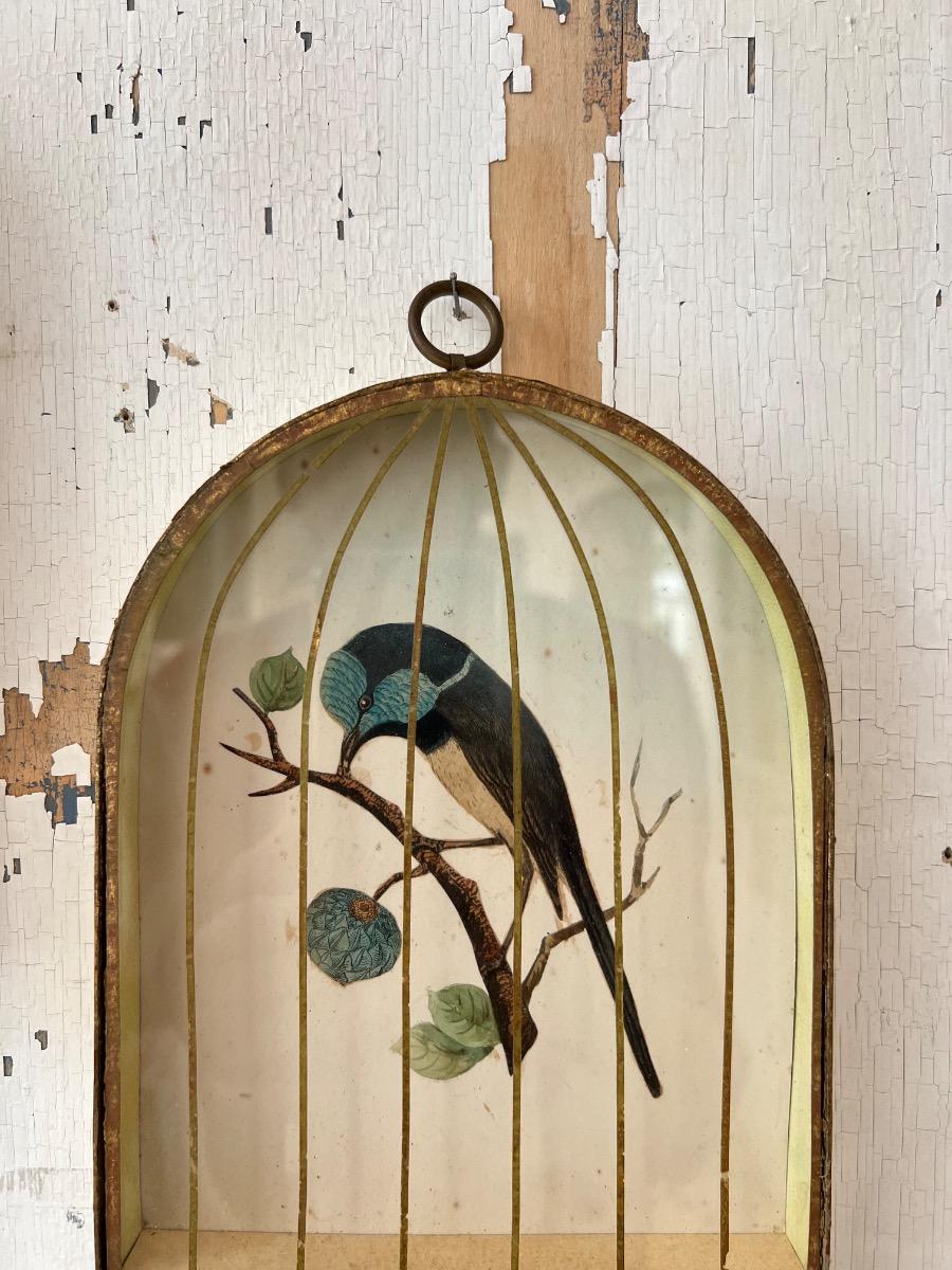 2 cages oiseaux trompe-l’œil 1960