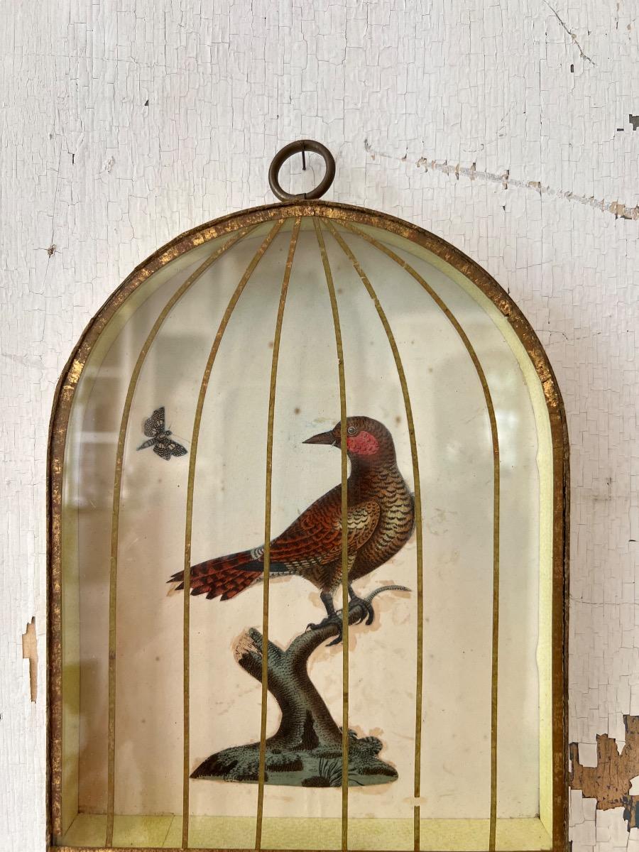 2 cages oiseaux trompe-l’œil 1960