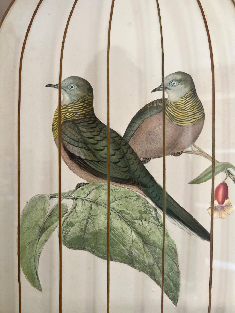 Cage à oiseaux en trompe-l’œil 1950