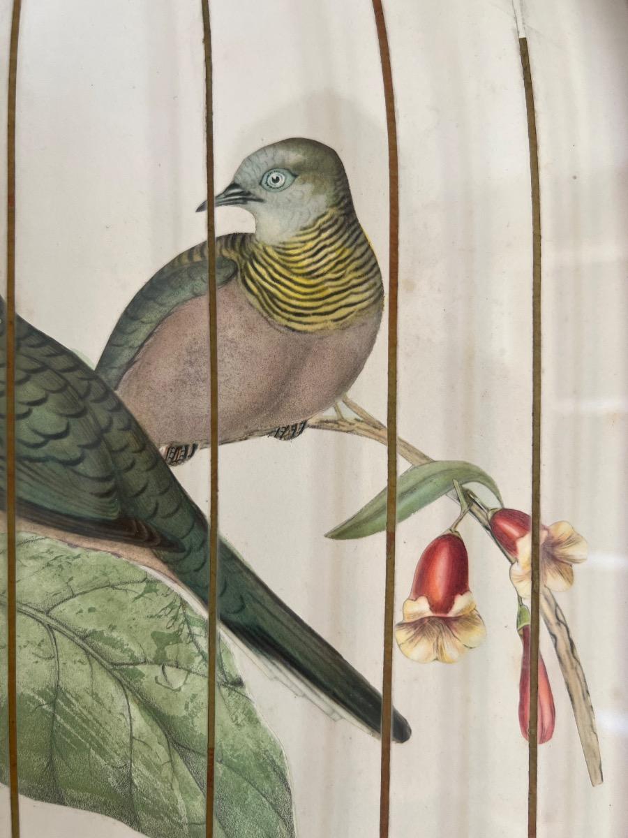 Cage à oiseaux en trompe-l’œil 1950