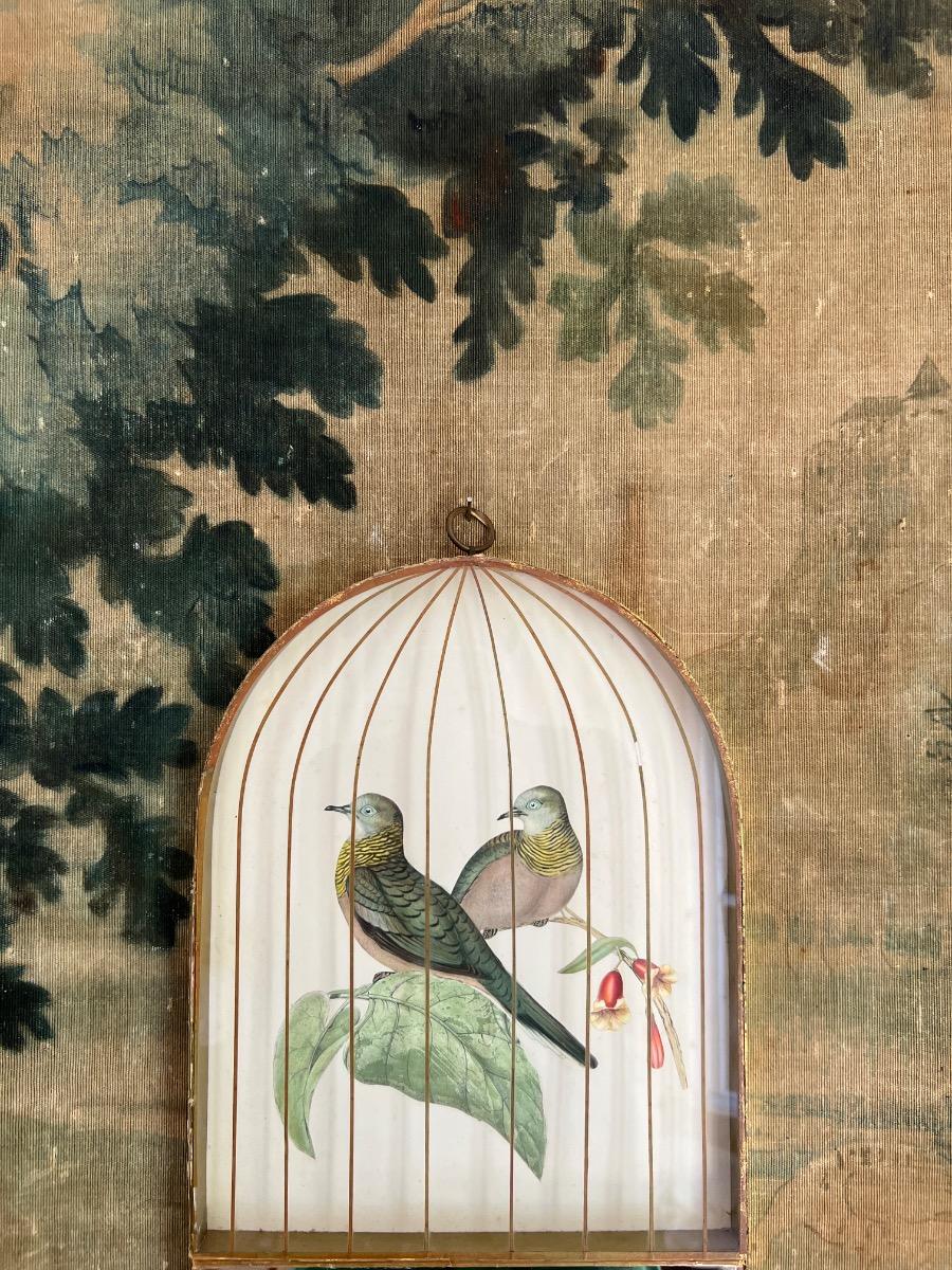 Cage à oiseaux en trompe-l’œil 1950